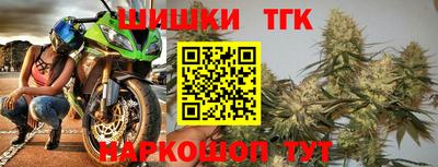 mdpv Заводоуковск