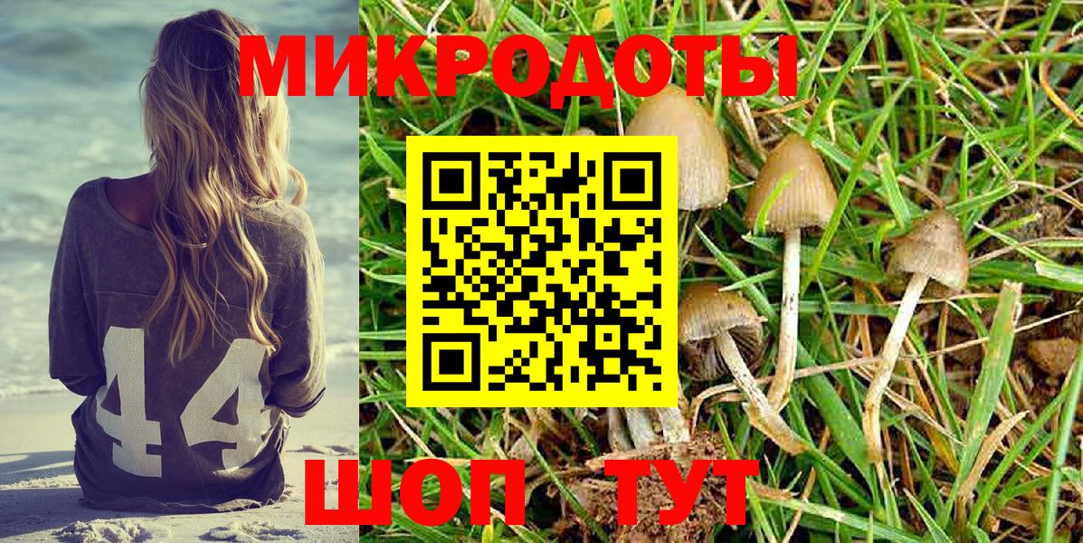 Галлюциногенные грибы Psilocybe  хочу наркоту  Воркута  Вход с VPN 