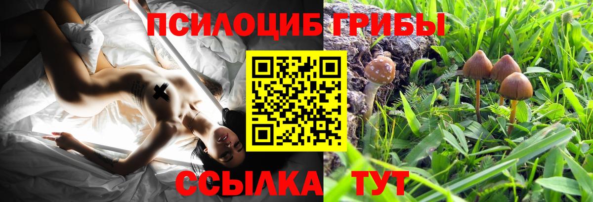 Галлюциногенные грибы GOLDEN TEACHER Воркута